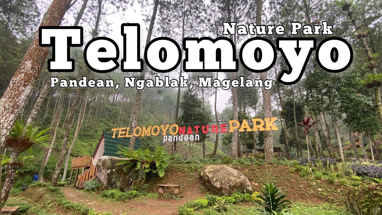 Telomoyo Nature Park: Destinasi Menakjubkan di Lereng Gunung Telomoyo